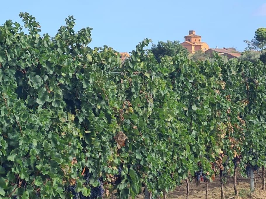 Montepulciano - La Casetta Del Pian Delle Noci Acquaviva  Exterior photo