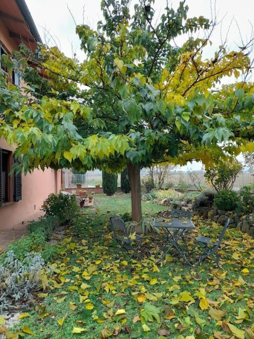 Montepulciano - La Casetta Del Pian Delle Noci Acquaviva  Exterior photo