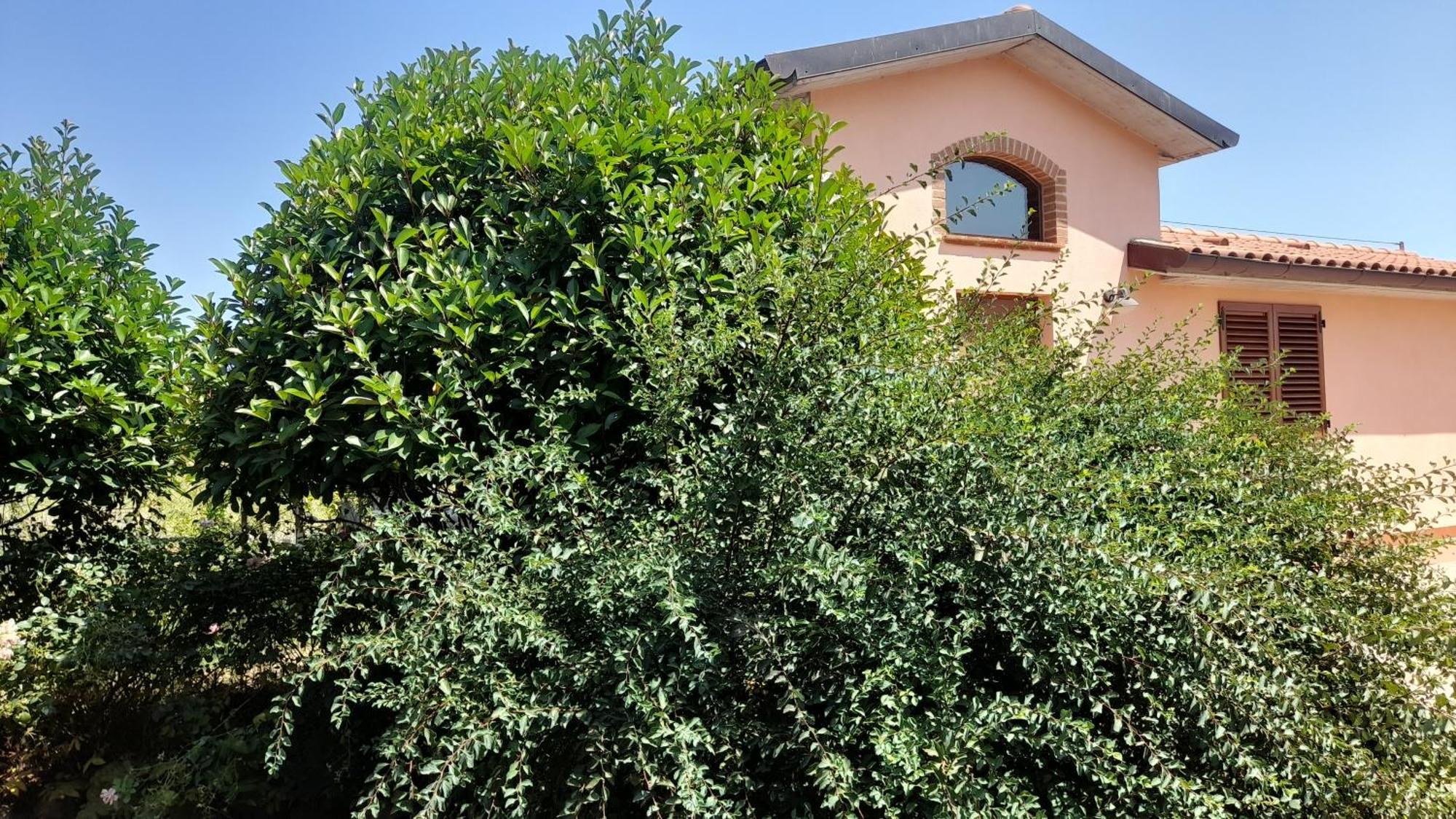 Montepulciano - La Casetta Del Pian Delle Noci Acquaviva  Exterior photo